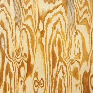 Got wood? Astigmatism EP Cover