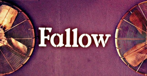 Fallow Cafe NN