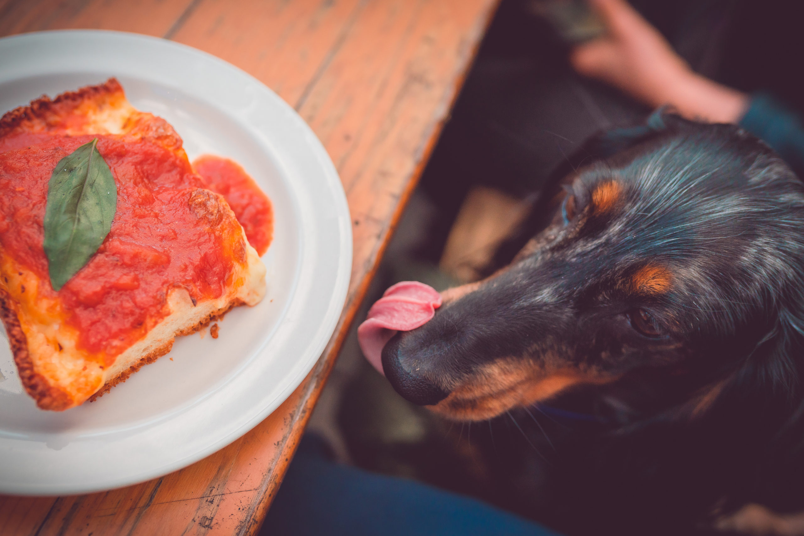 Pizza Slices in Manchester